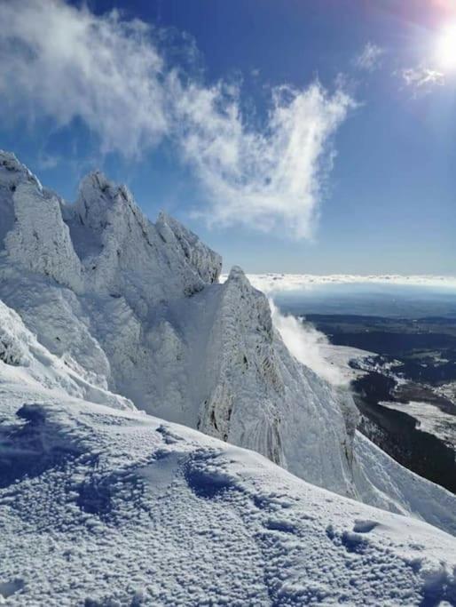 Appartement Chaleureux Et Cosy Le Mont-Dore Buitenkant foto